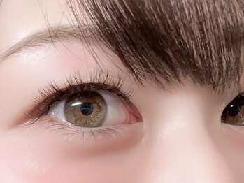 リアリ 市川(LIALI)/最新デザインキープラッシュ80束