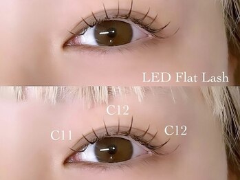 ミラ 新宿西口店(mila.)/LEDまつ毛エクステ