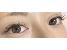 ダリア(Dahlia)/フラット１００本★