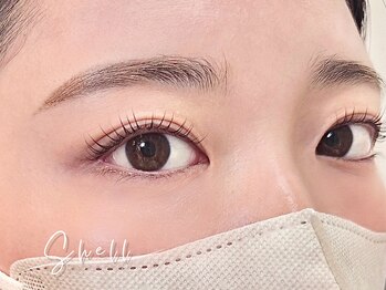 シェル 松戸(Shell)/束感が可愛い　まつ毛パーマ