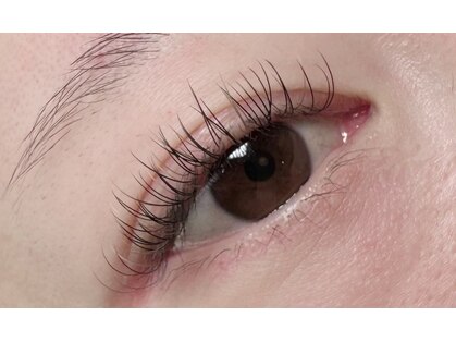 イナ(ina)の写真