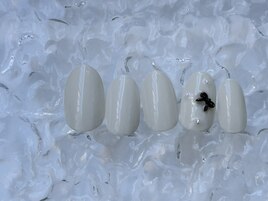 定額60分デザイン