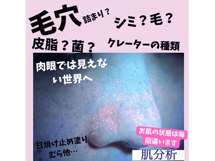 ミライ(Mirai)の写真
