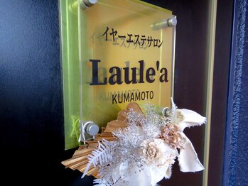 ラウレア クマモト(Laule'a kumamoto)/