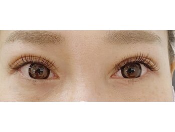 リーベ(Liebe)/フラットラッシュ140本