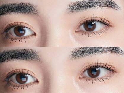 ニーム(NEEM)の写真