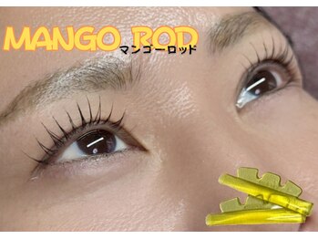 リバース(Rebirth)/マンゴーロッドで立ち上げ