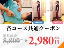 大川カイロプラクティックセンター ひらつかスターモール整体院