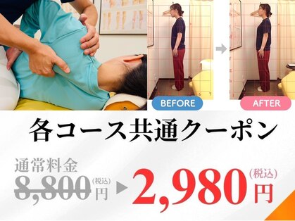 大川カイロプラクティックセンター ひらつかスターモール整体院の写真
