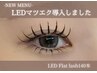 【期間限定】LED★フラットラッシュ100本¥4990 120本¥5500