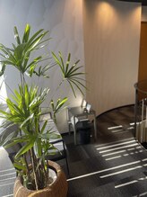 スローミー(slowmmy)/植物も元気いっぱい！