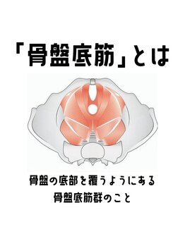ヒロット タオ(HILOT TAO)/HILOTのついでに♪