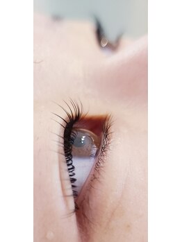 コア(Koa)/しっかり上げてさらにぱっちり♪