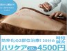 《国家資格保持》時短「鍼灸」2か所【ハリケアタイパ】クイック20分間 4500円