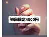 【ネイル】【ハンド】ワンカラー4500円