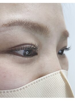 ランプシー(Lampsi)/