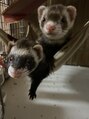 ハチナナヨンネイル(f*w874nail) 去年までフェレットも飼っていました♪