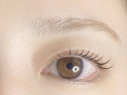 エンジェル(Angel)の写真