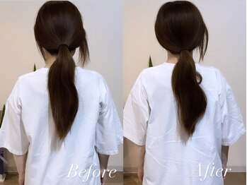 ハクト(Hakuto)/Before/After