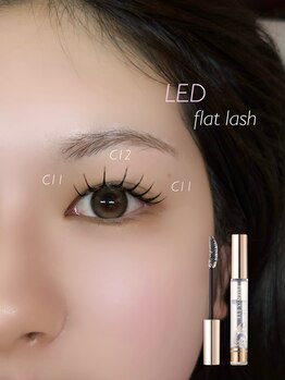 ノエル 久里浜店(Noel)/LED flat lash