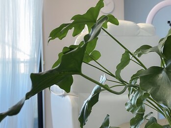 プリズムアイ(Prism eye)/ほっと落ち着ける空間を目指して