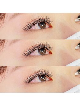 カトルセ(Catorce)/Wフラットラッシュ 80束