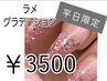 【平日限定】OPEN記念★ラメグラデーション3500円