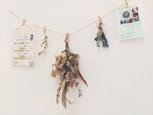 アウン 高島本店(aUN)/店内雰囲気