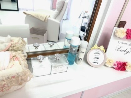 レディ(Lady)の写真