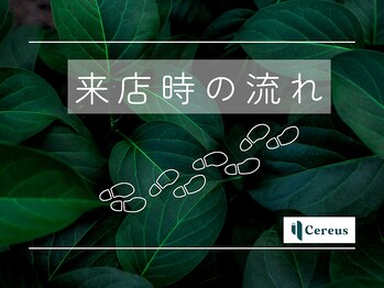 セレウス(Cereus)/●来店時の流れ