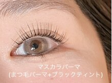 カメリ(KAMERI)/マスカラパーマ/高持続/東大阪