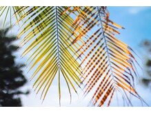 タスク(Tasuku.)/熱帯毛林から卒業