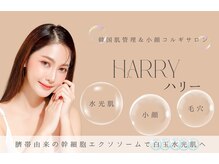  ハリー 神戸三宮店(HARRY)
