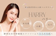  ハリー 神戸三宮店(HARRY)
