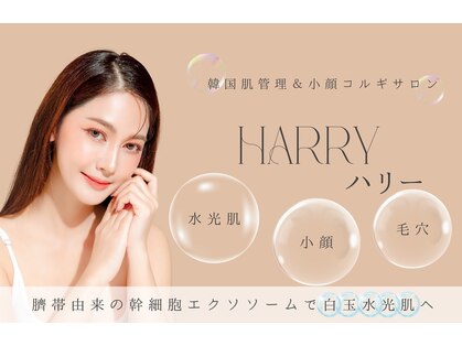  ハリー 神戸三宮店(HARRY)の写真