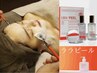 ツヤ肌ピーリング　ララピール60min　￥12,000 → 初回限定 ￥9,800
