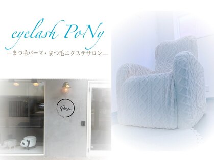 ポニー(PoNy)の写真