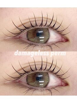 エルシー 安城店(LC)/ダメージレスまつ毛パーマ