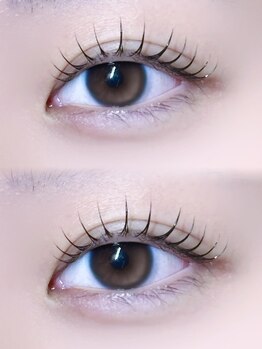 ミイプ(MEPP)/たにわき担当・ラッシュリフト