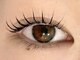アイラッシュ バイ コンベックス(EYELASH by convex)の写真/貴女の魅力を最大限に引き出す”こだわり施術”で高いデザイン性を実現！自まつげに優しくカールも長持ち◎