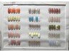 【全員OK/定額デザイン】シンプルコース→5500円(新規他店オフ＋550)