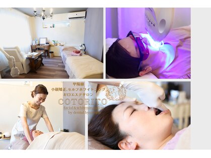 コトリト(Cotorito)の写真