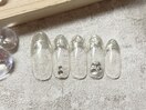6月選べるサンプル￥6600