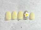 定額デザイン
