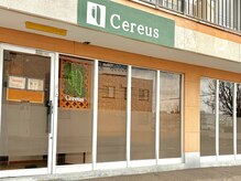 セレウス(Cereus)/1．【外観】