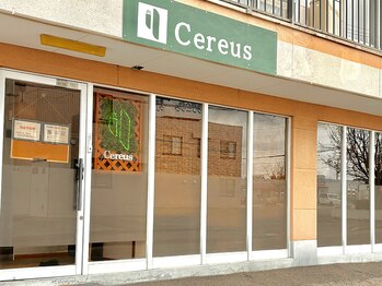 セレウス(Cereus)/1．【外観】