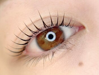 シーンスタジオ 京都店(SSIN STUDIO)/ まつ毛パーマ&眉毛サロン 京都