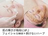 3回券【肌育ハーブ★輝き肌へ♪】美容WAX＋ハーブトリートメントコース
