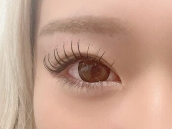 レーヴ(REVE)/ボリュームラッシュ　500本