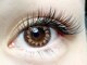 カラーアイラッシュ(Color eyelash)の写真/素早く丁寧な施術で、セクシー/キュート/ボリュームなりたいデザインに★美しい目元を長くキープ！